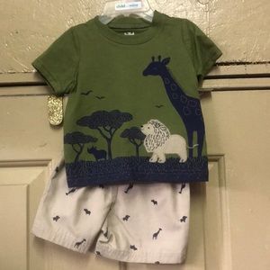Carter’s summer baby two piece shorts and shirt